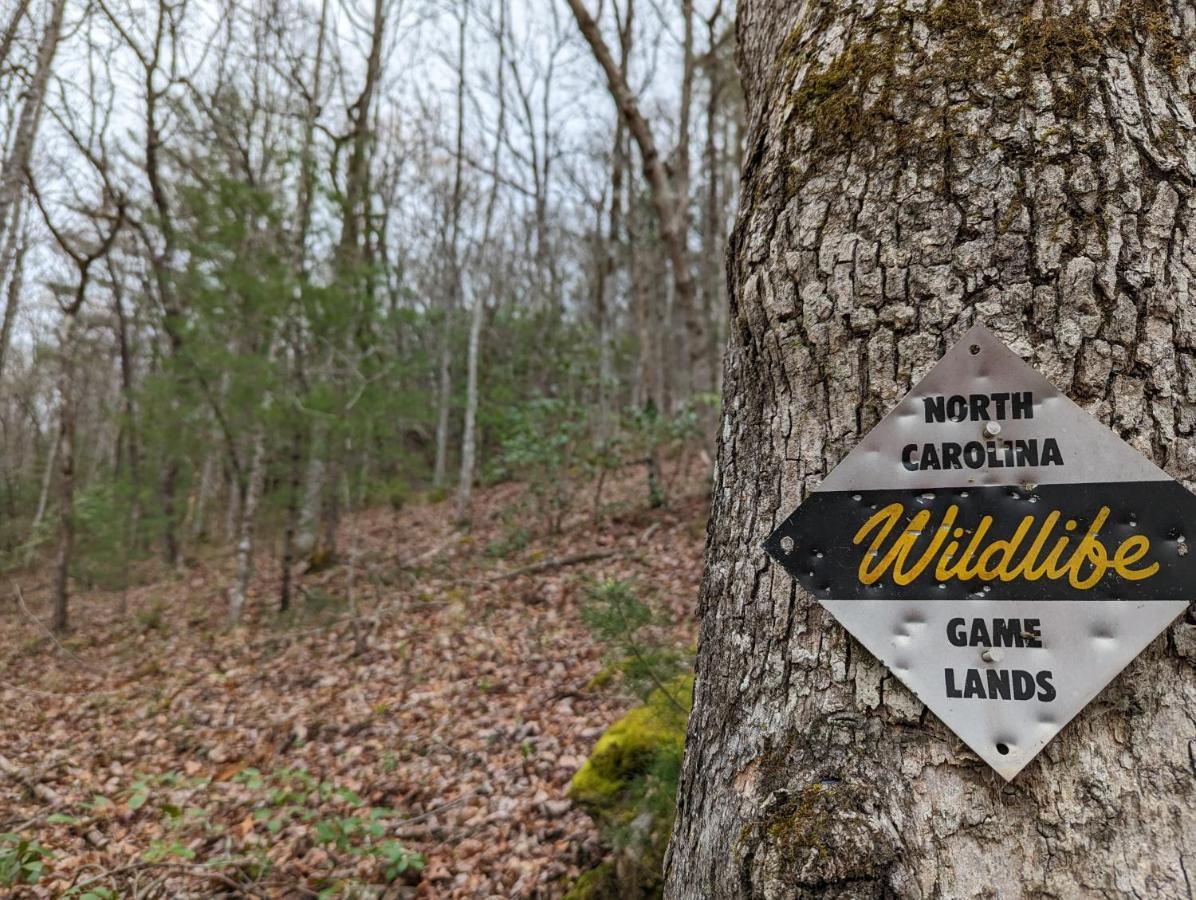 Hidden Hollow Bed And Breakfast Otto Luaran gambar